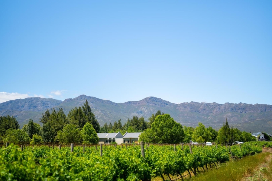 0 Bedroom Property for Sale in Val De Vie Estate Western Cape